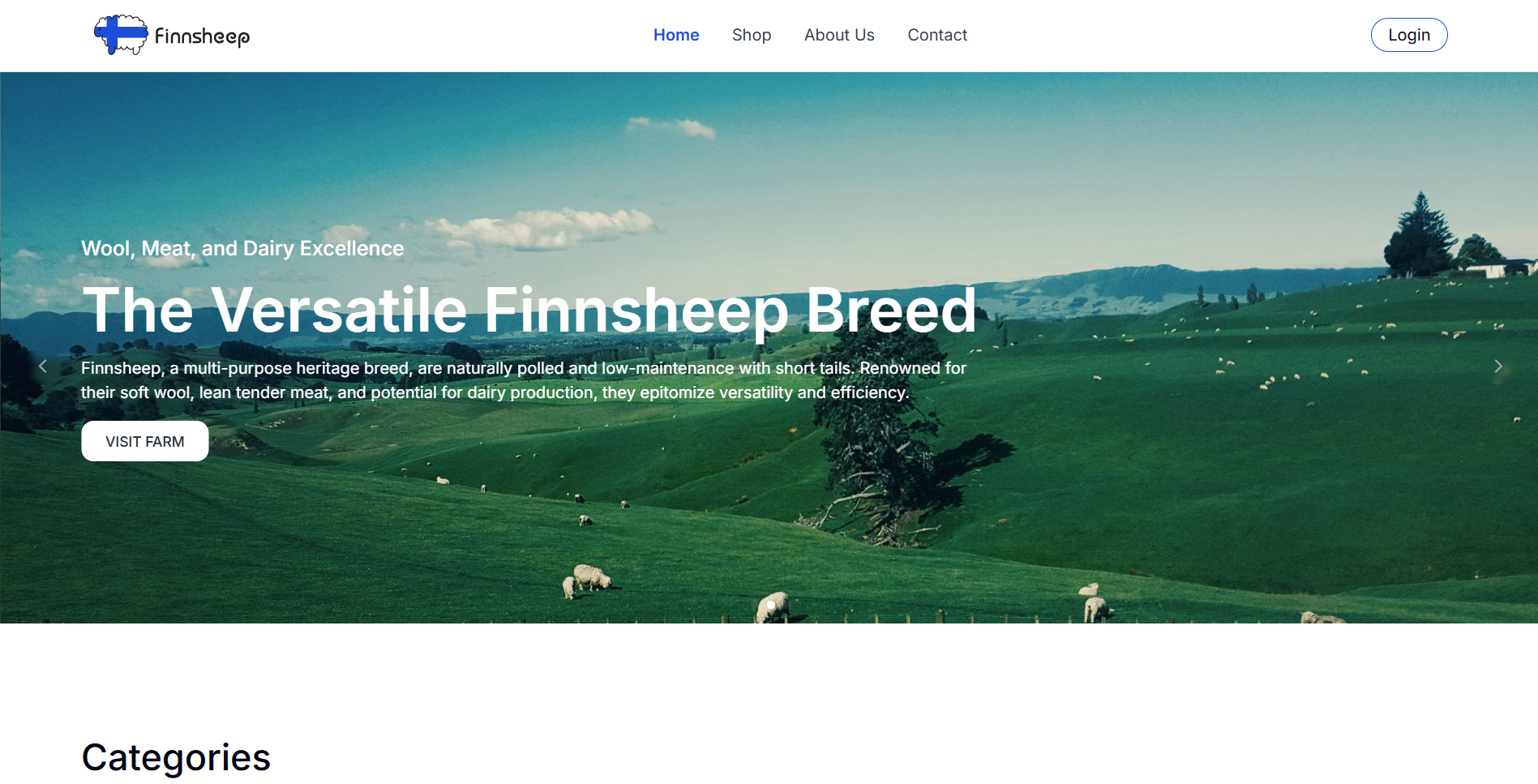 UI/UX & Digital Marketing Strategy for Finsheep